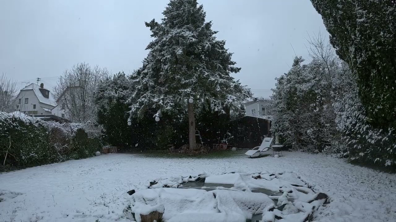 2 hours relaxing snowfall in a quiet garden - snow and wind asmr