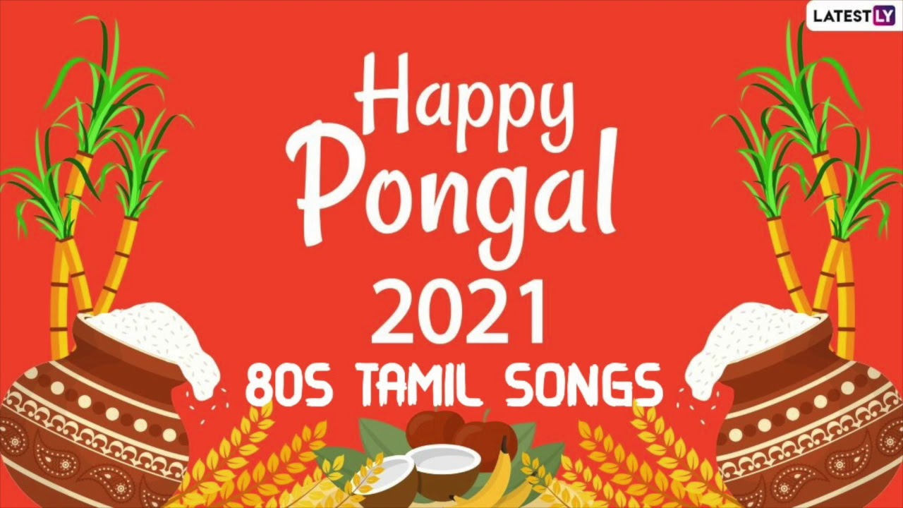 Thai Thingal | Ravey| Pongal Song | RB1