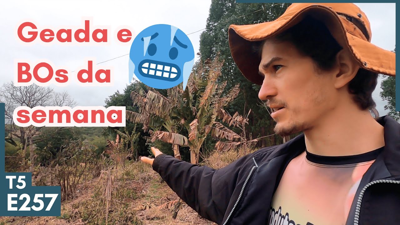 Viver no s&iacute;tio d&aacute; trabalho e tem dia que fica pior 😂🥴
