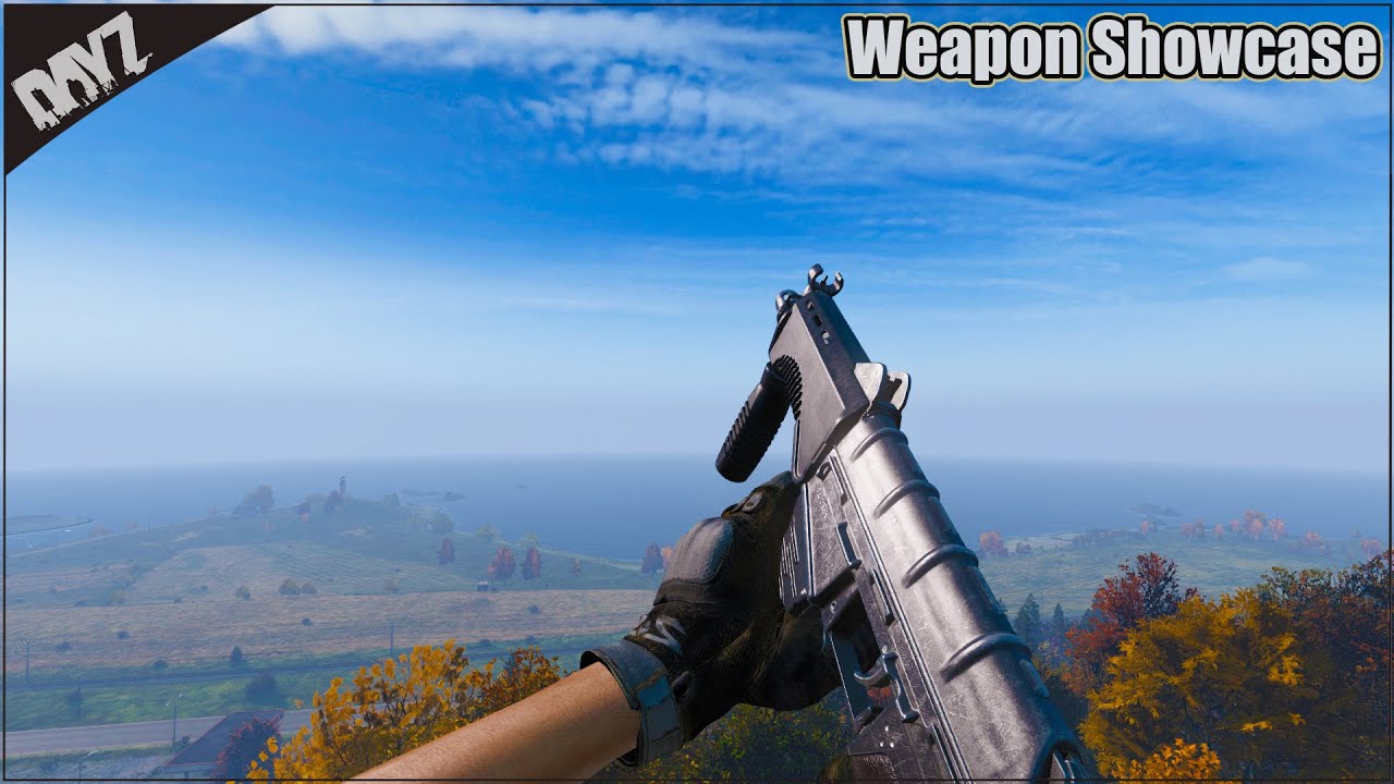 DayZ - All Weapon Showcase (1.24)