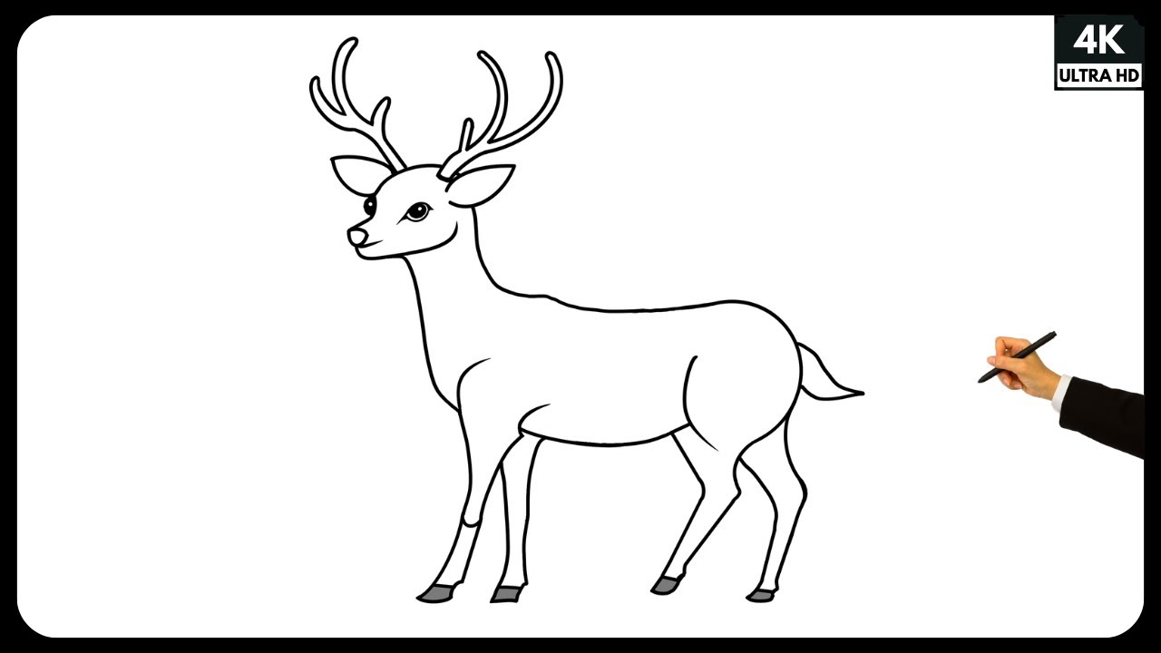 How to Draw a Deer | Deer Drawing | Step by Step Drawing Tutorial | Easy Drawing for beginners