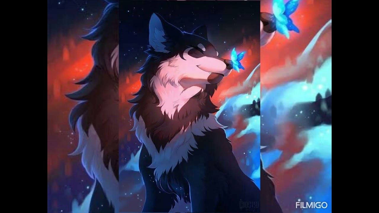 Мир Подождёт 🌏✋ Подарок для@PAWPOTRUL