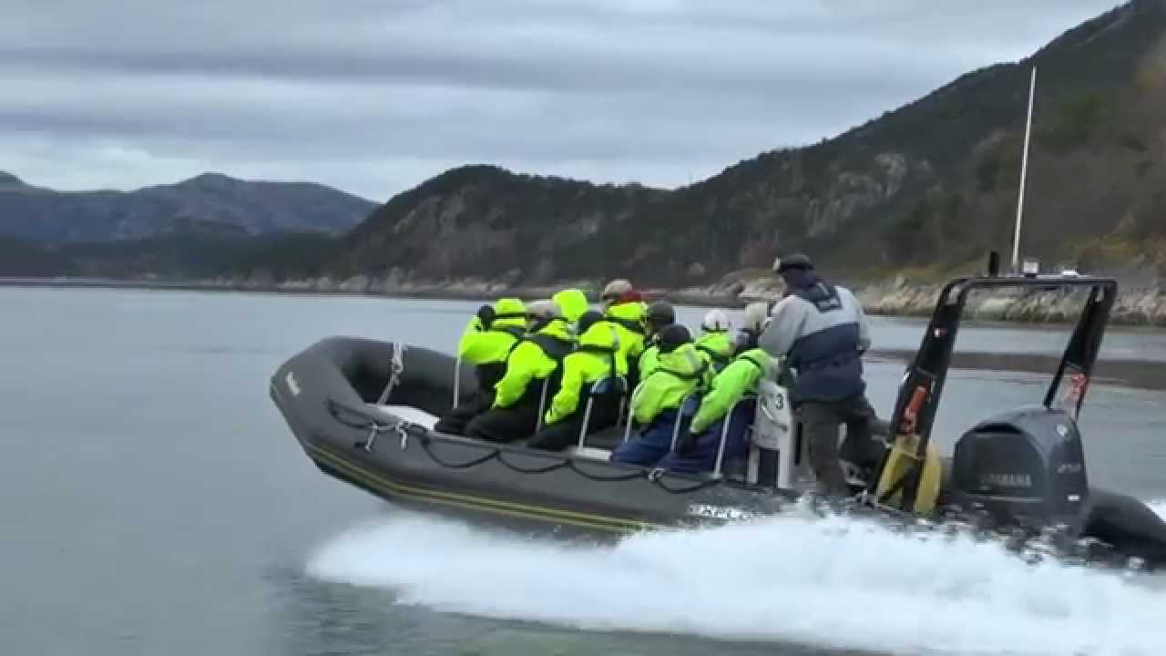Hurtigruten - RIB-Boat-Safari zum Saltstraumen