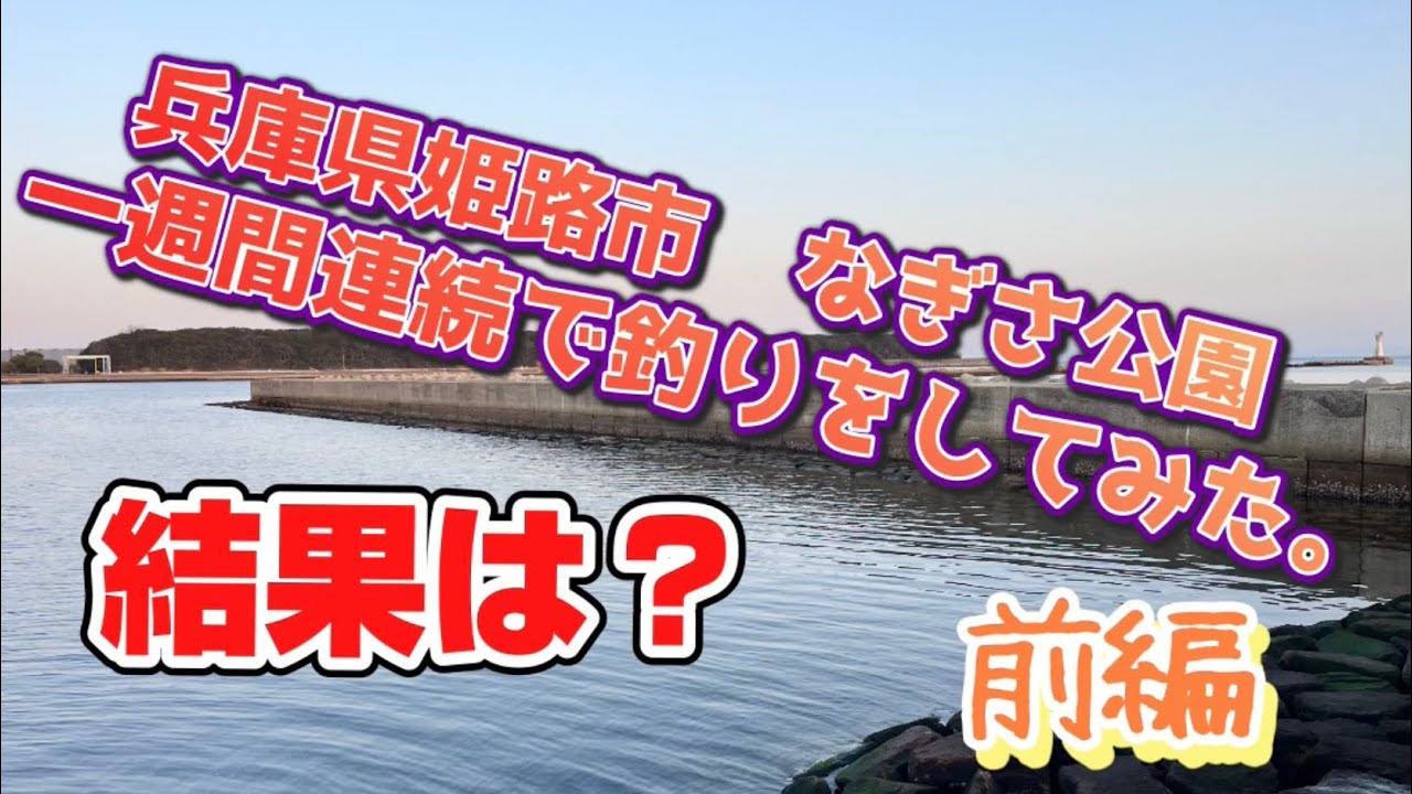 同じ場所で一週間連続で釣りをしてみた‼️