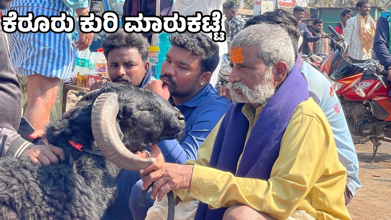 Kerur Sheep market 