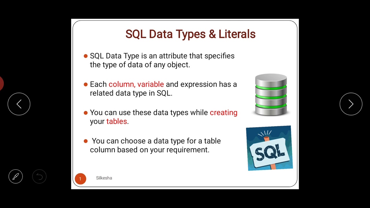 SQL Data Types and Literals lecture 21
