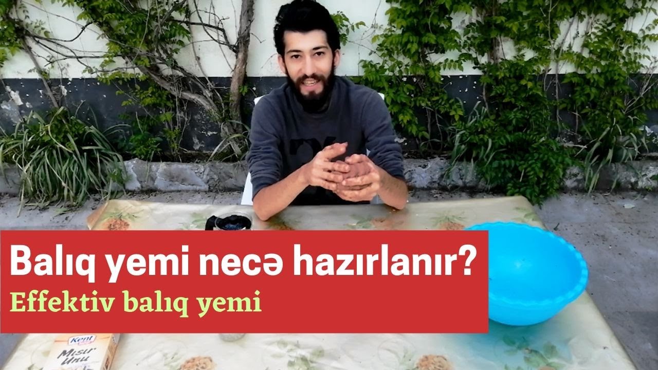 Balıq yemi hazırlamaq. Sazan, Karp, Karas yemi necə hazırlanır.