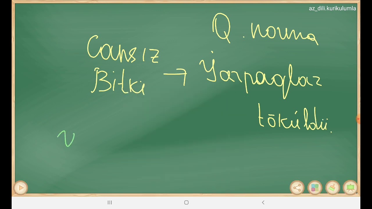 Qrammatik norma və kəmiyyətə görə uzlaşma