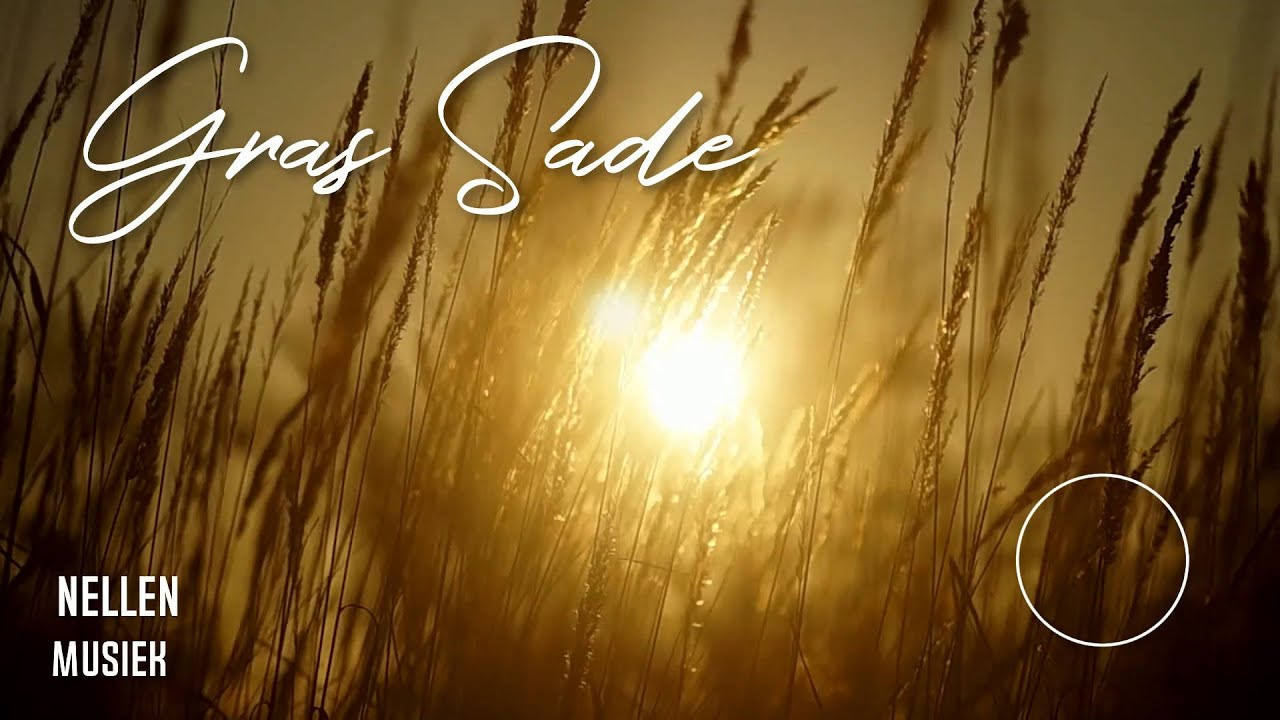 NELLEN - Gras Sade