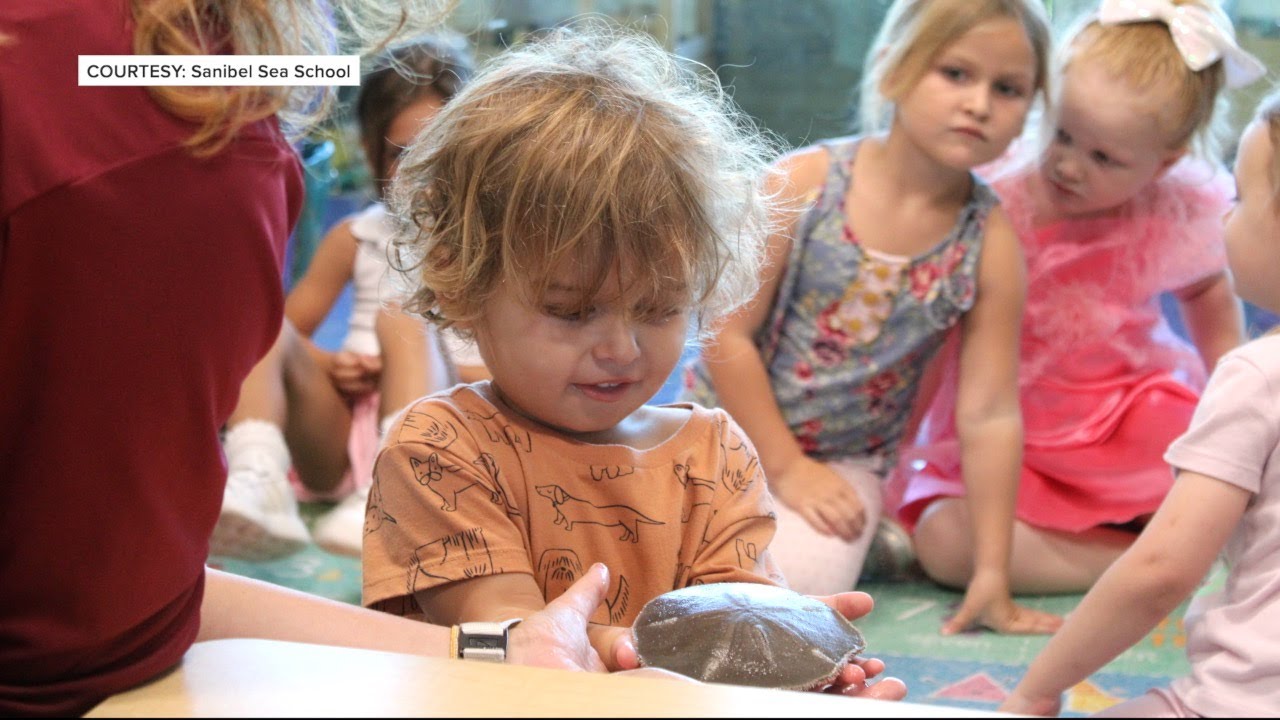 Sanibel Sea School to bring new summer camp sessions for hands-on marine learning