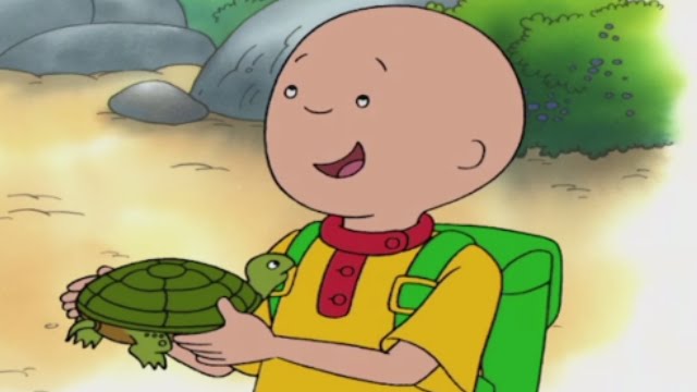 CAILLOU PORTUGUÊS - O Dia de Ações de Graças do Caillou (HD)