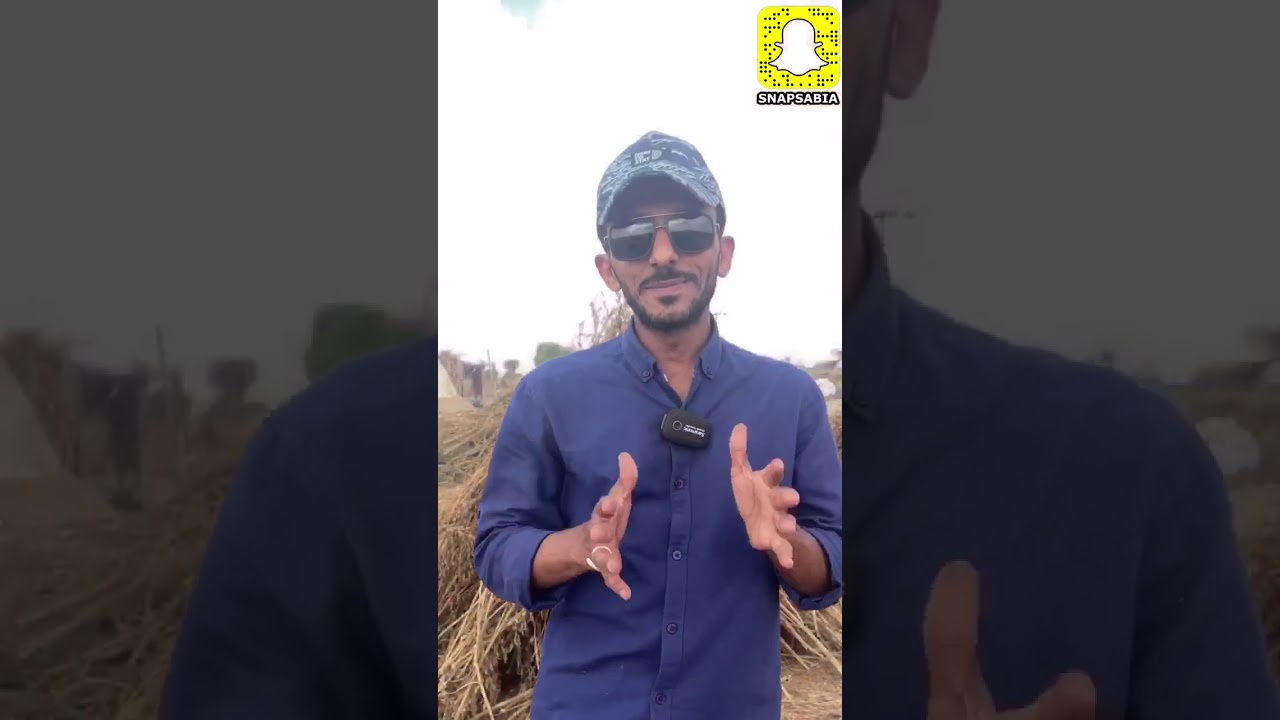 زراعة السمسم وصناعة السليط في جازان