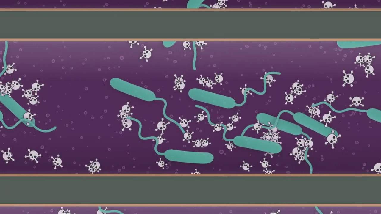 Explainer: How does cholera affect your body