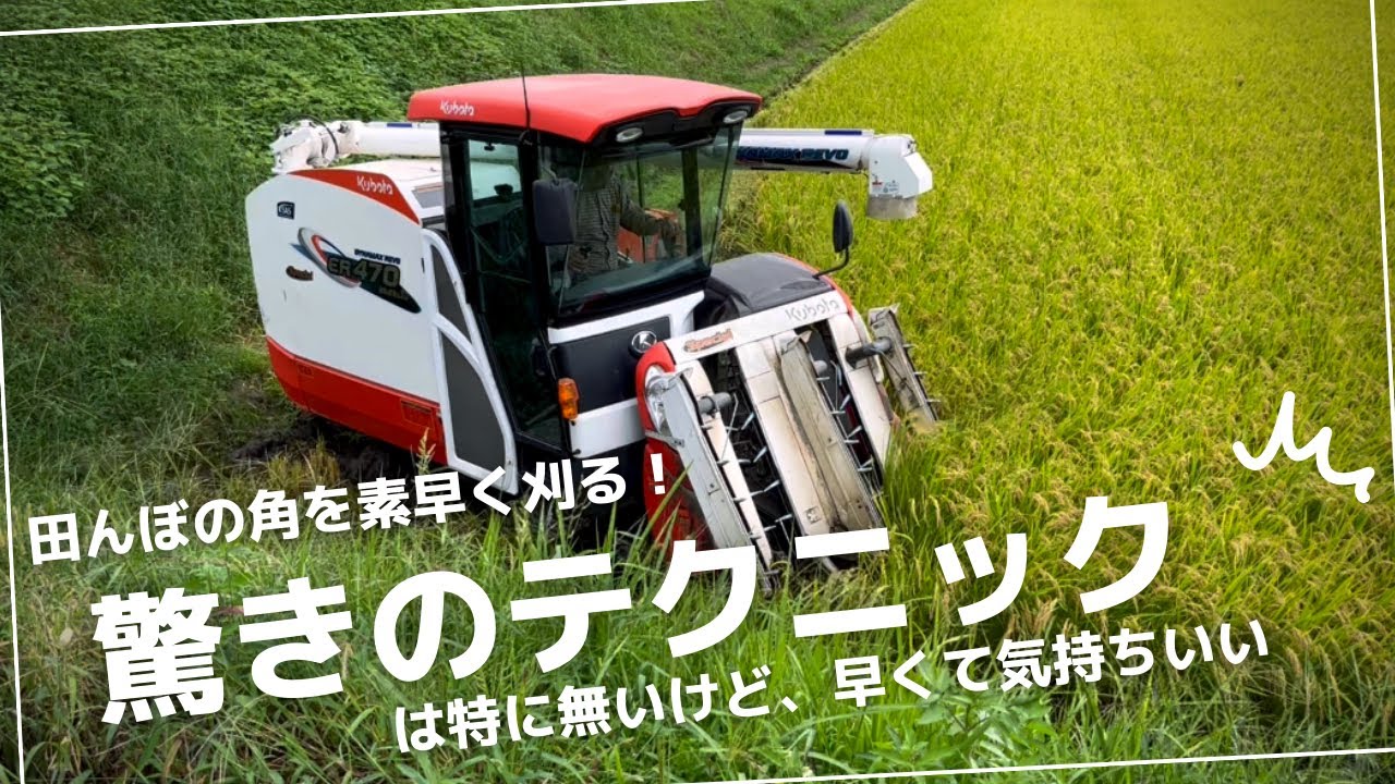 稲刈り。外周をサクサク刈る動画。