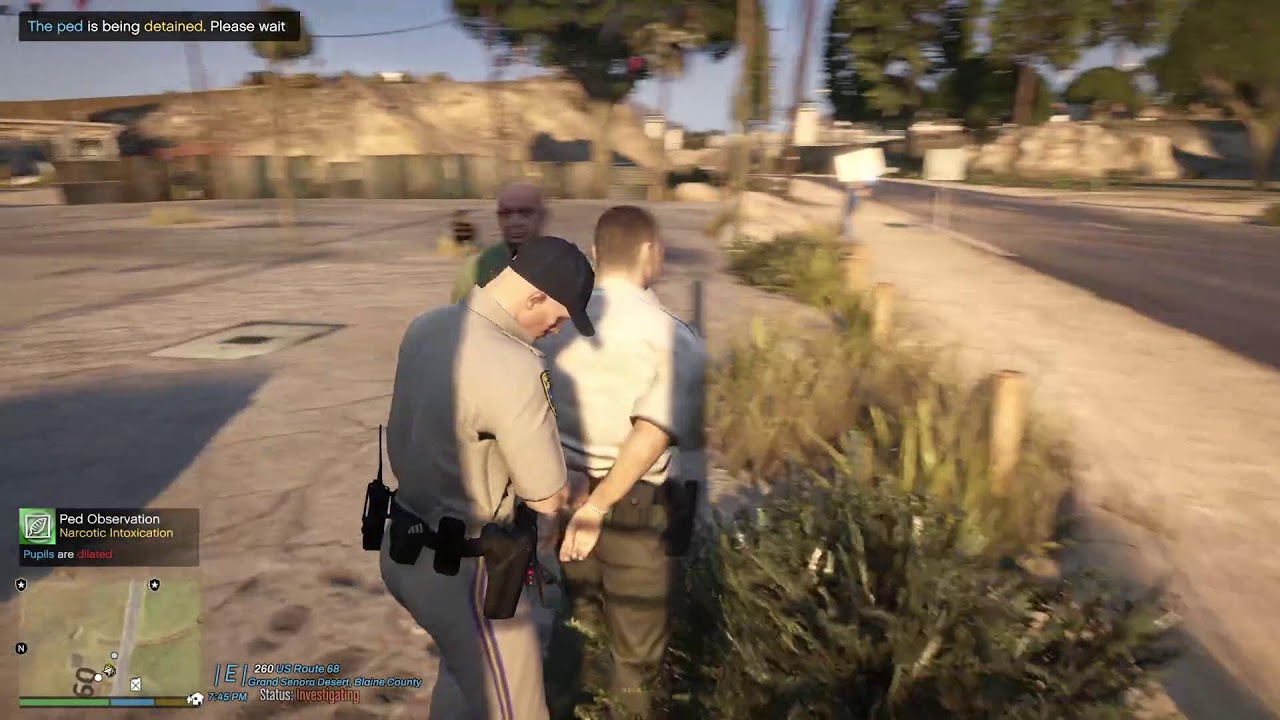 virigna state police patrol with a trainneee