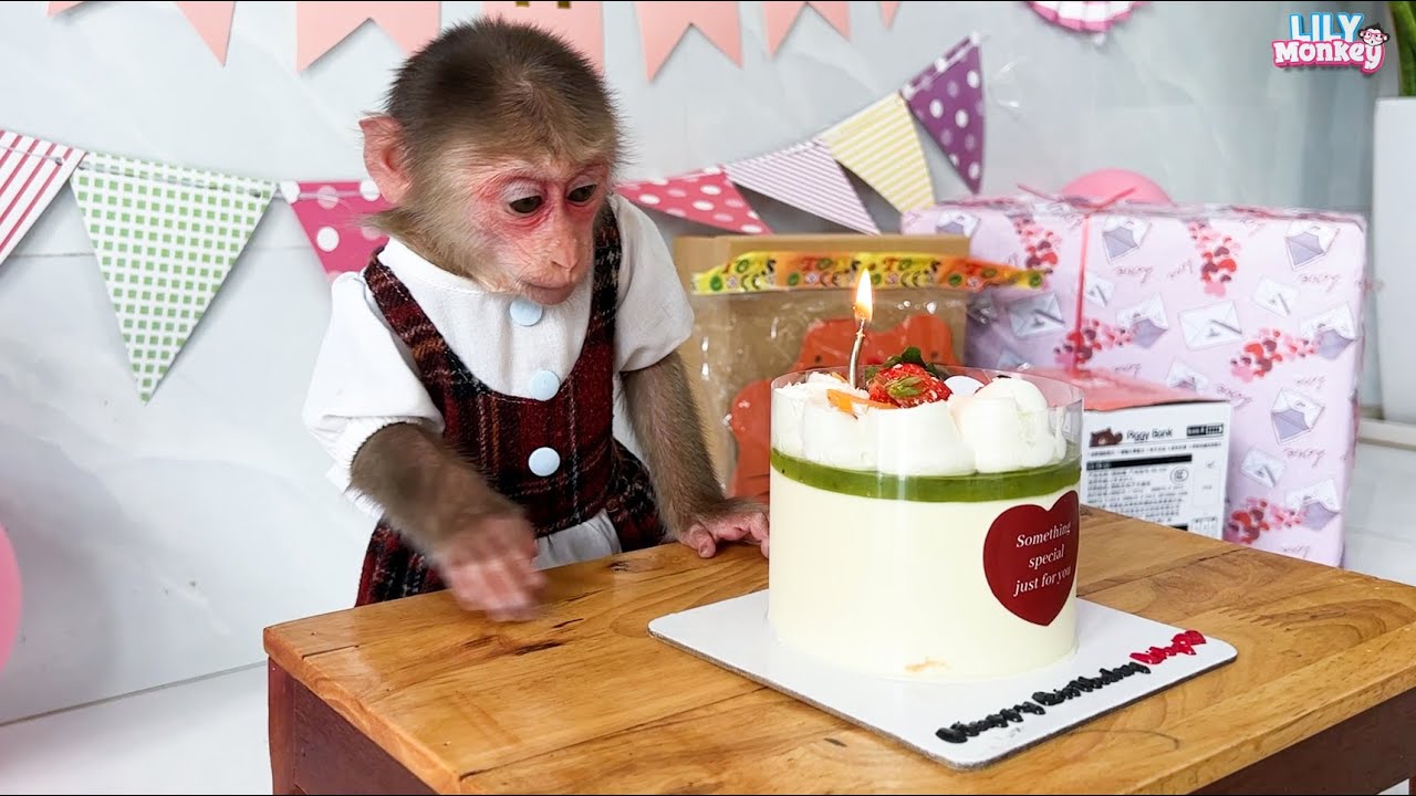 Dad celebrates a special party for Lily's first birthday