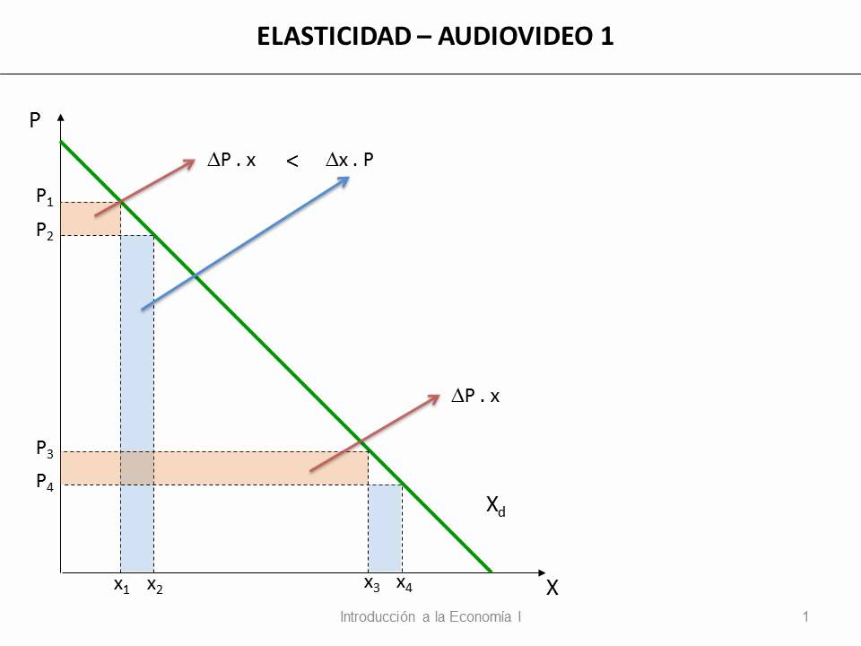 18 Elasticidad Precio de la Demanda