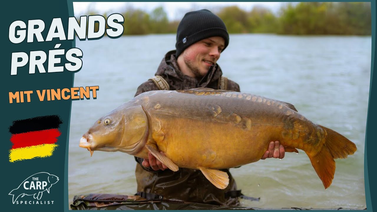 Dicke Osterkarpfen für Vincent 🇫🇷 Karpfenangeln am Grands Prés in Frankreich 🎣