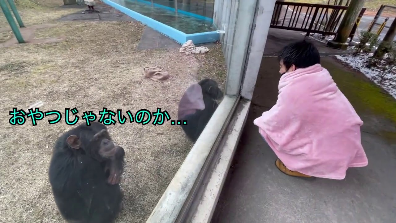 パン君ポコちゃんに毛布のプレゼント🎁