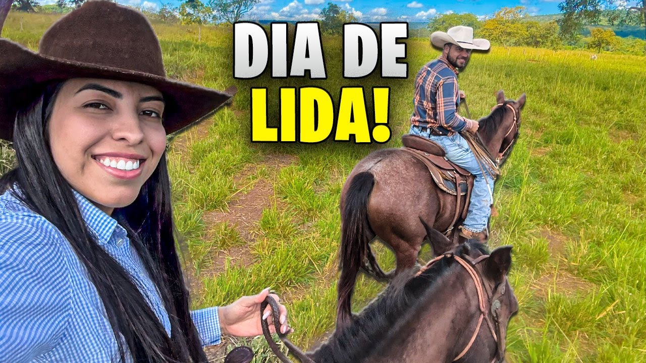 UM DIA de LIDA do GADO na FAZENDA !