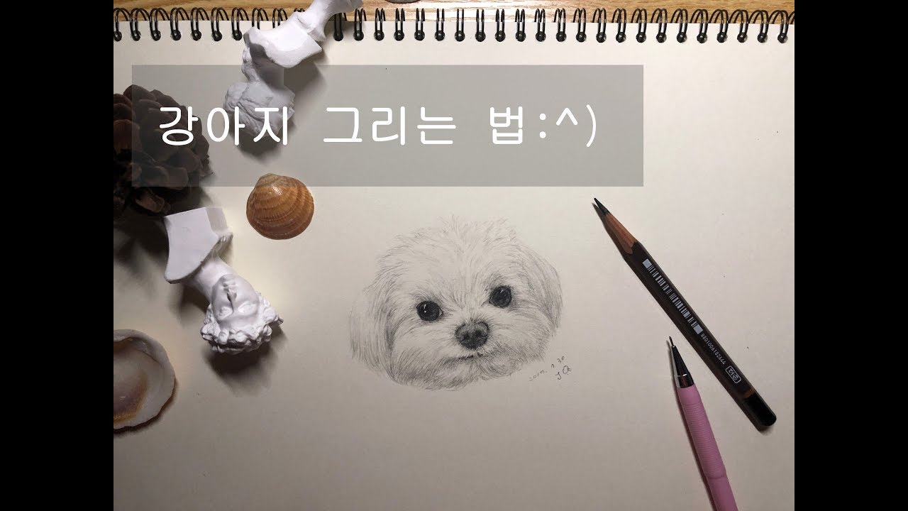 강아지 그리는 법(말티즈편)