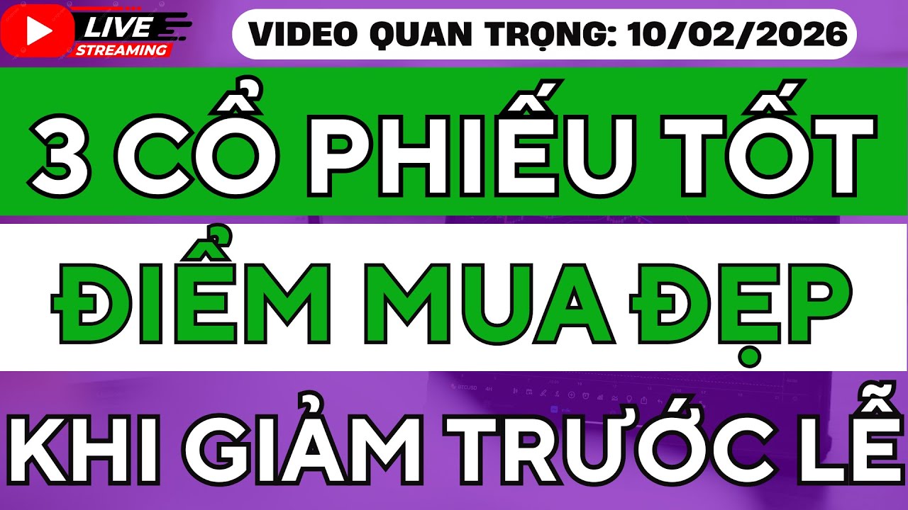 TRƯỚC TẾT MUA GÌ ? 3 CỔ PHIẾU TỐT - ĐỊNH GIÁ RẺ - ĐIỂM MUA AN TOÀN!