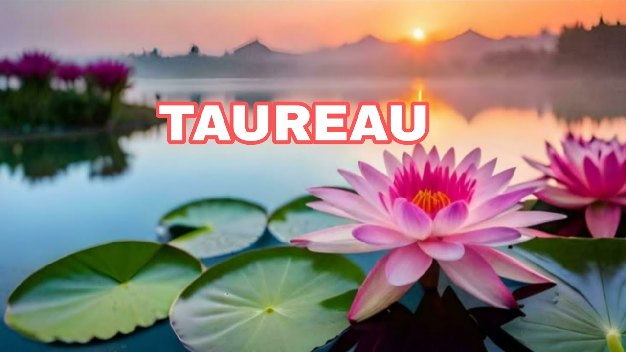 TAUREAU, Vous deployez vos ailes🪽❤️‍🔥