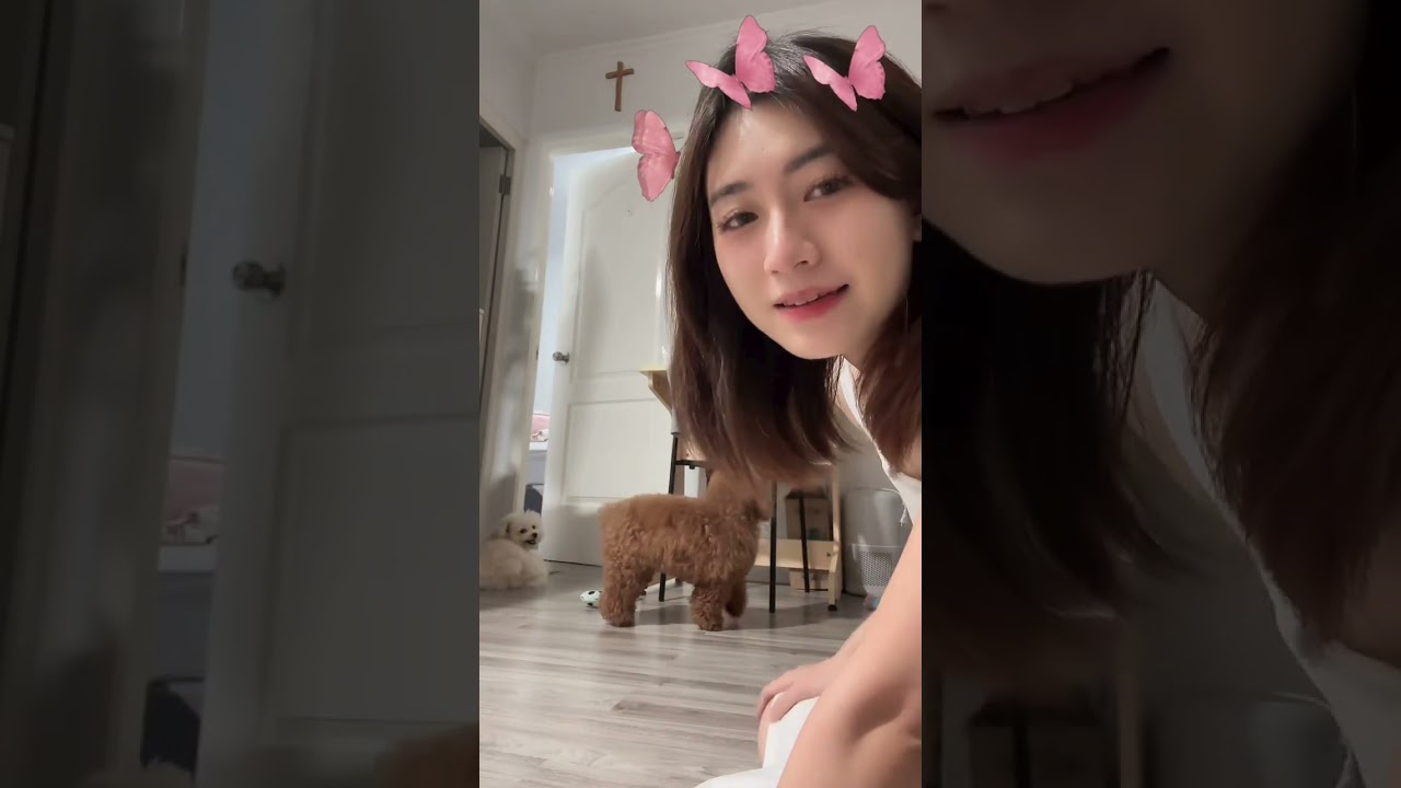 🟢Live Replay - Playing with beautiful dog