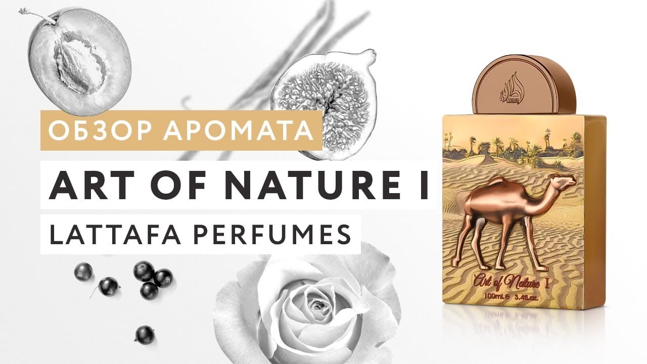 Обзор аромата Art Of Nature I от Lattafa