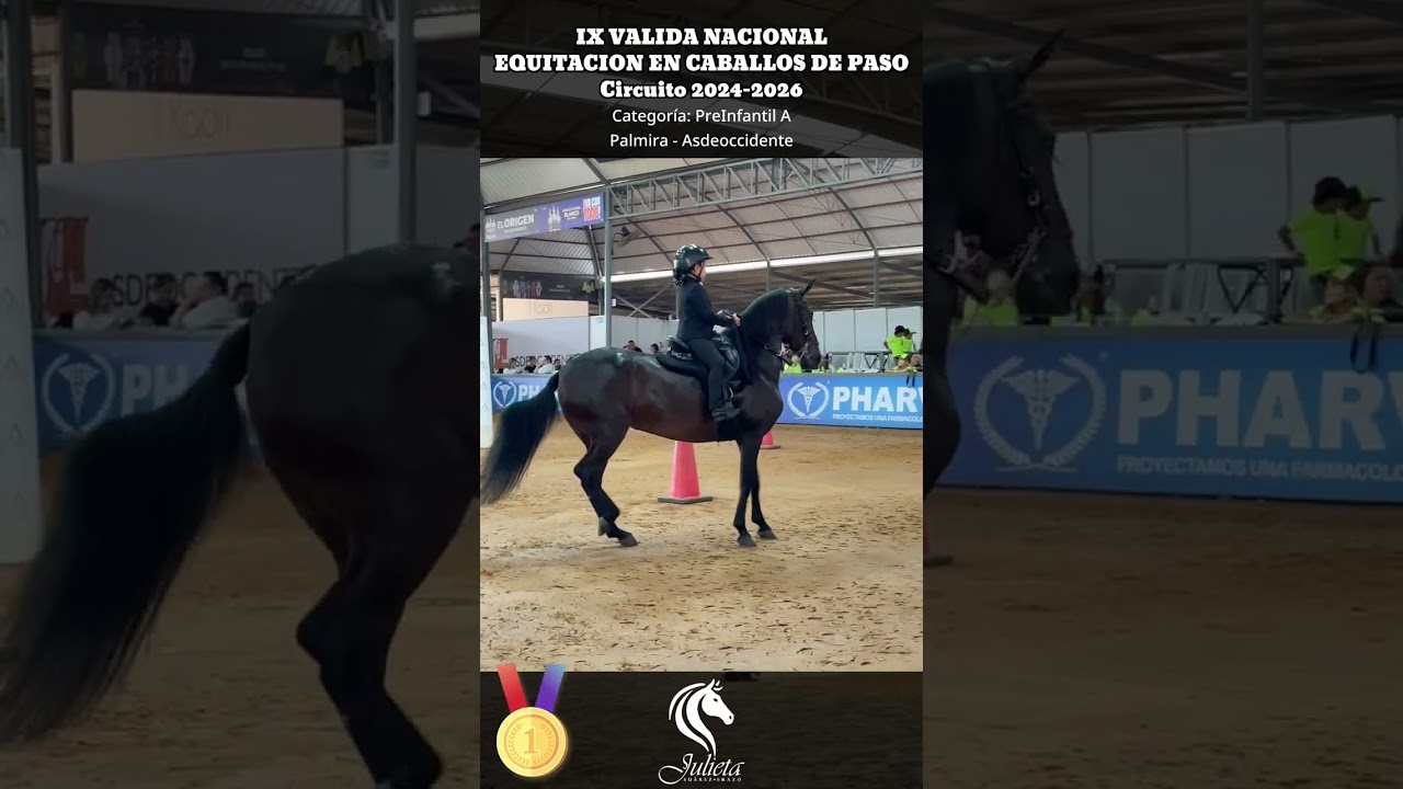 IX Valida Nacional Caballos de Paso | Oro | Palmira | Julieta Suarez Erazo | PreInfantil A