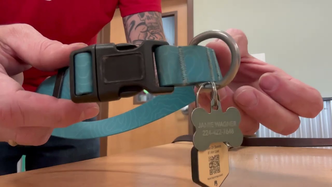Wilderdog Waterproof Dog Collar Repels Water & Dirt Medium 13in-18in Review