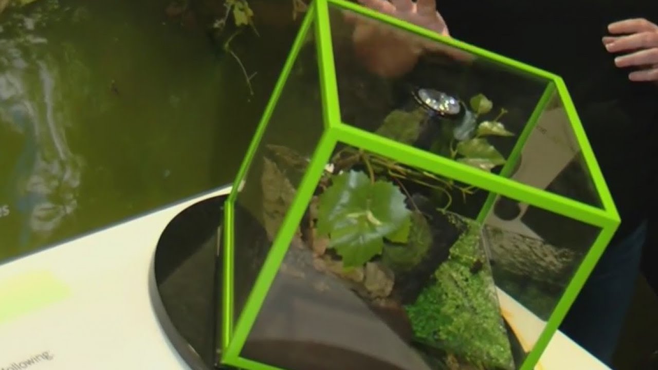 Mid-America Science Museum hosts Smithsonian exhibit