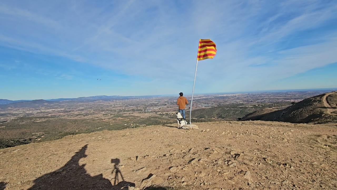 vol de pente swift s1 2.4m kavan rc