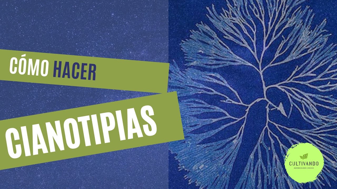 Videotutorial cianotipia: Cómo hacer cianotipia botánica paso a paso