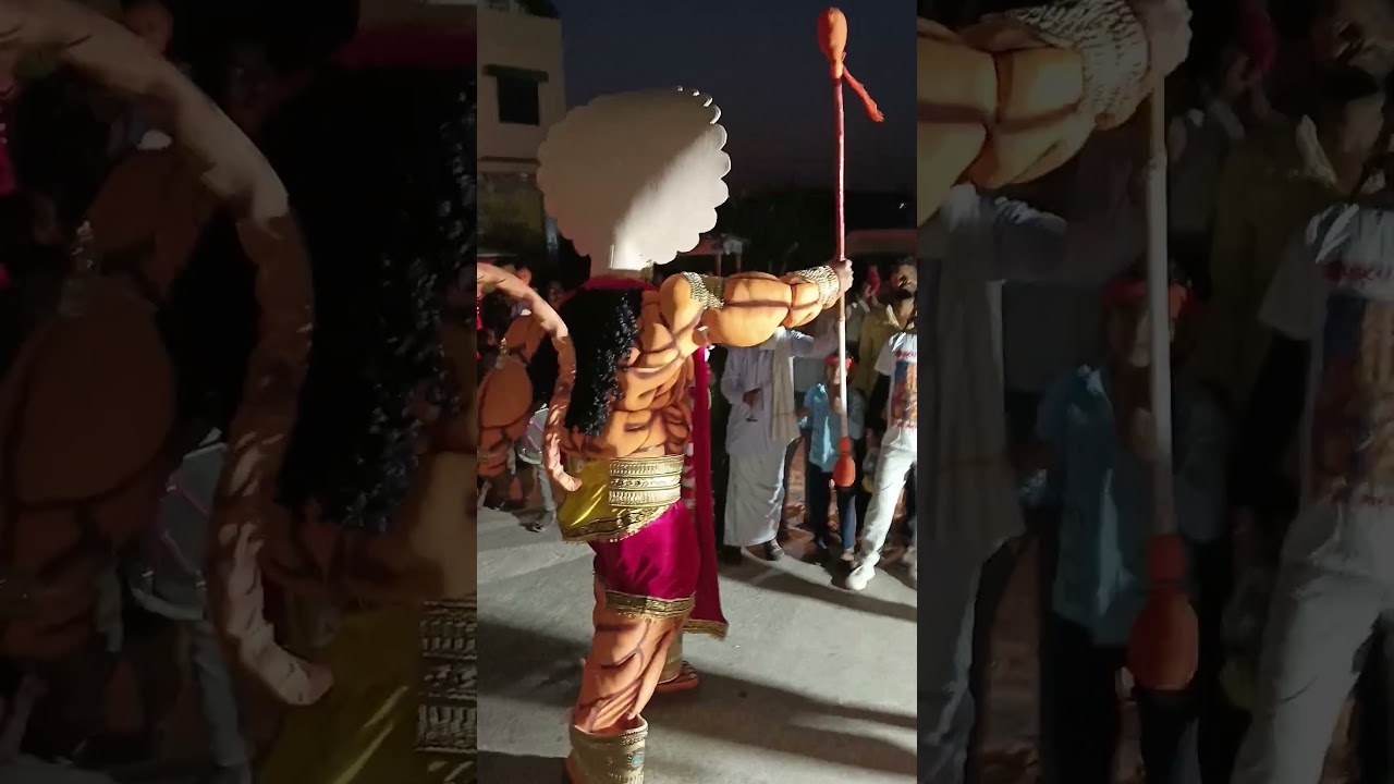 Rajasthan district sawai madhopur village chauth ka barwada