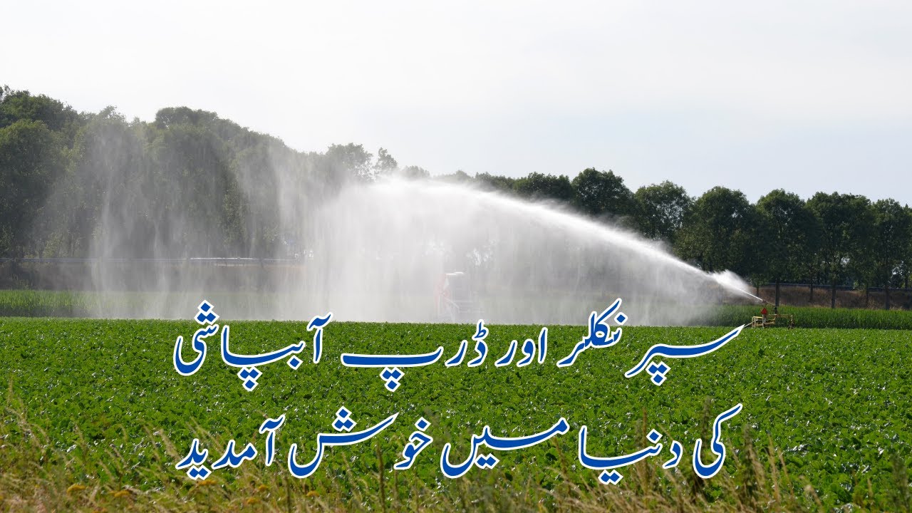 Rabail Technologies | Irrigation Experts in Pakistan | Drip & Sprinkler Systems