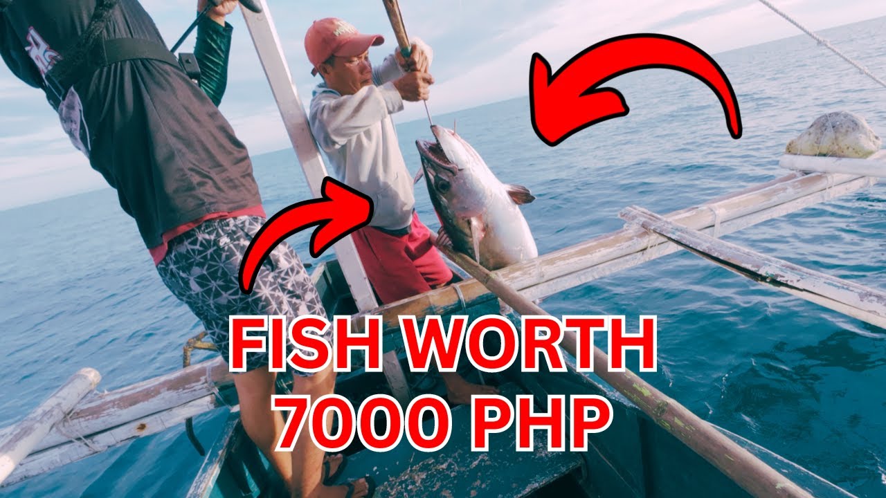 This Fish is Worth 7000 PHP | 28 Kilos Dogtooth Tuna Caught in Jigging | Philippines