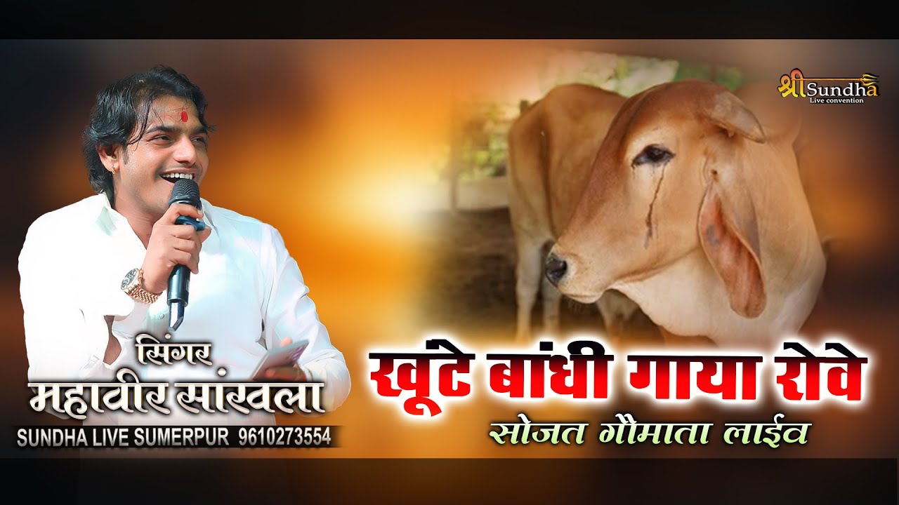 Mahaveer sankhla  खूंटे बांधी गाया रोवे !! महावीर सांखला भजन !! gow mata !! सोजत गौ माता लाइव