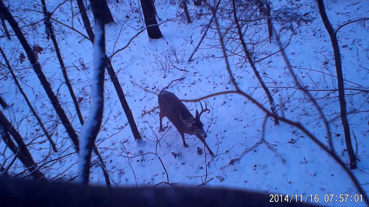 Three years showing off the Tactacam