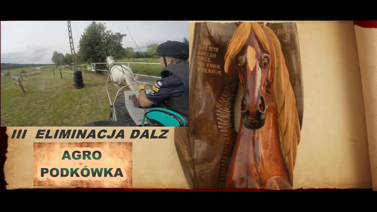 KRZYSZTOF WIŚNIEWSKI III ELM DALZ PODK&Oacute;WKA