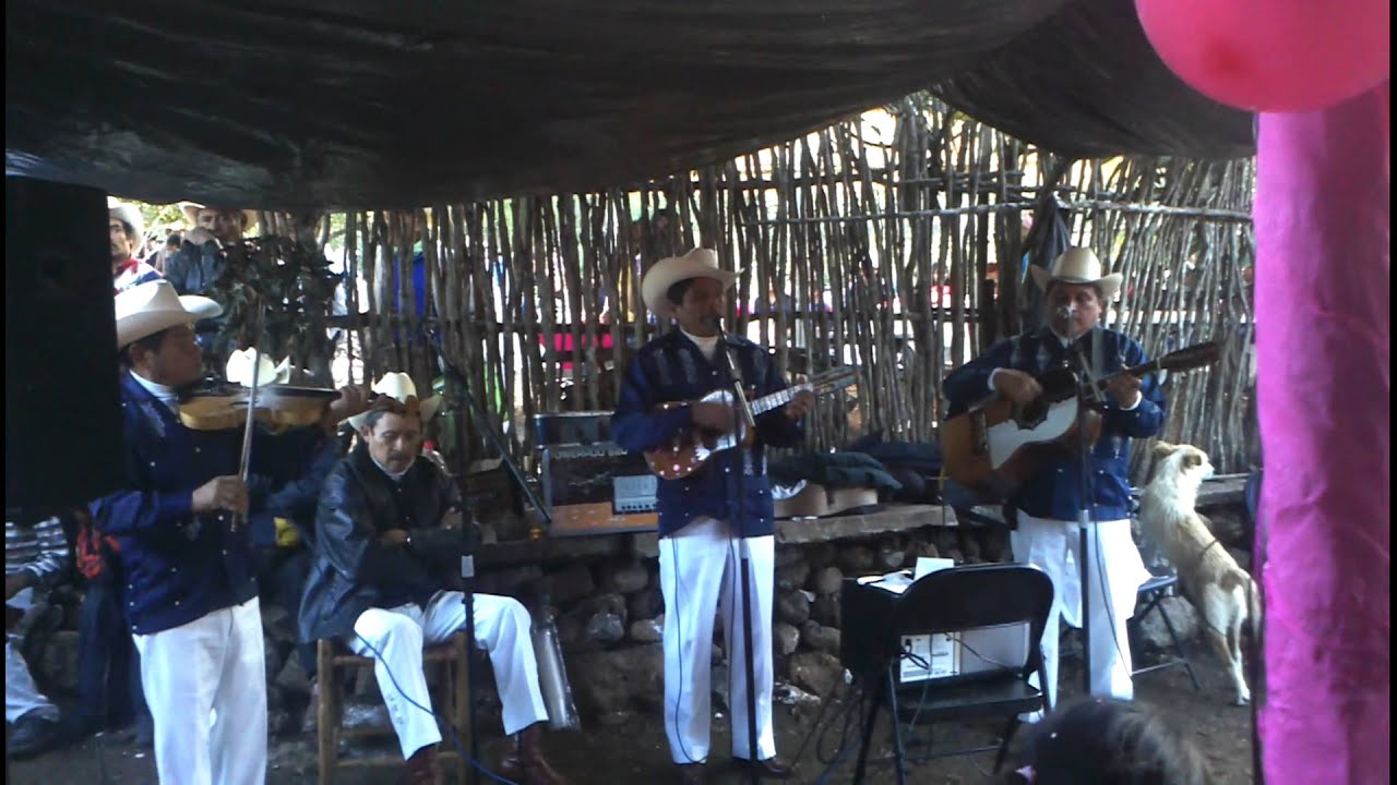 Fiesta en laguna verde lagunillas ...