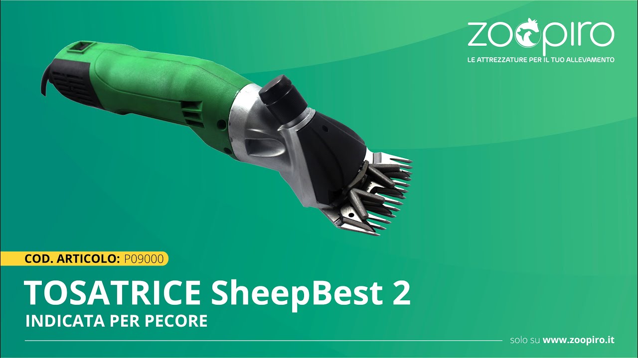 ZooPiro - Tosatura di una Pecora con la Tosatrice SheepBest