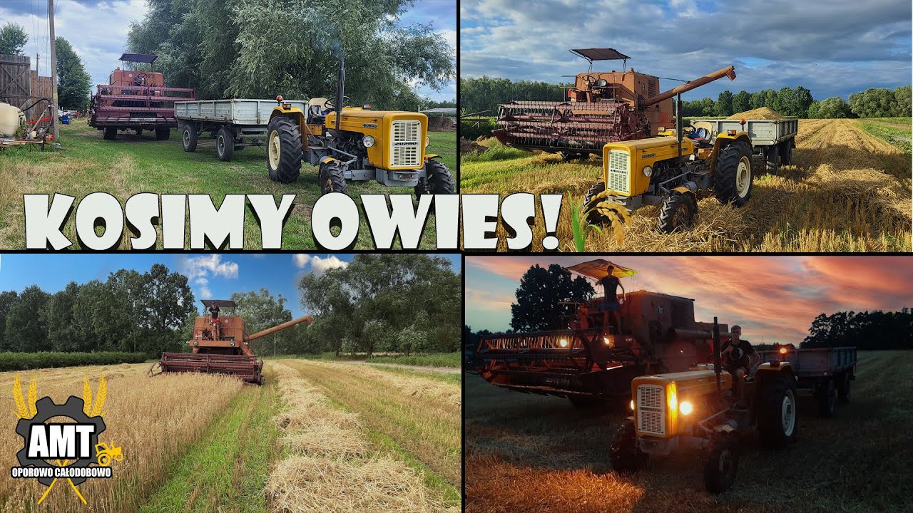 ☆Kosimy nasz OWIES🔥Rozładunek zboża✅ Oporowo z Ekipą.