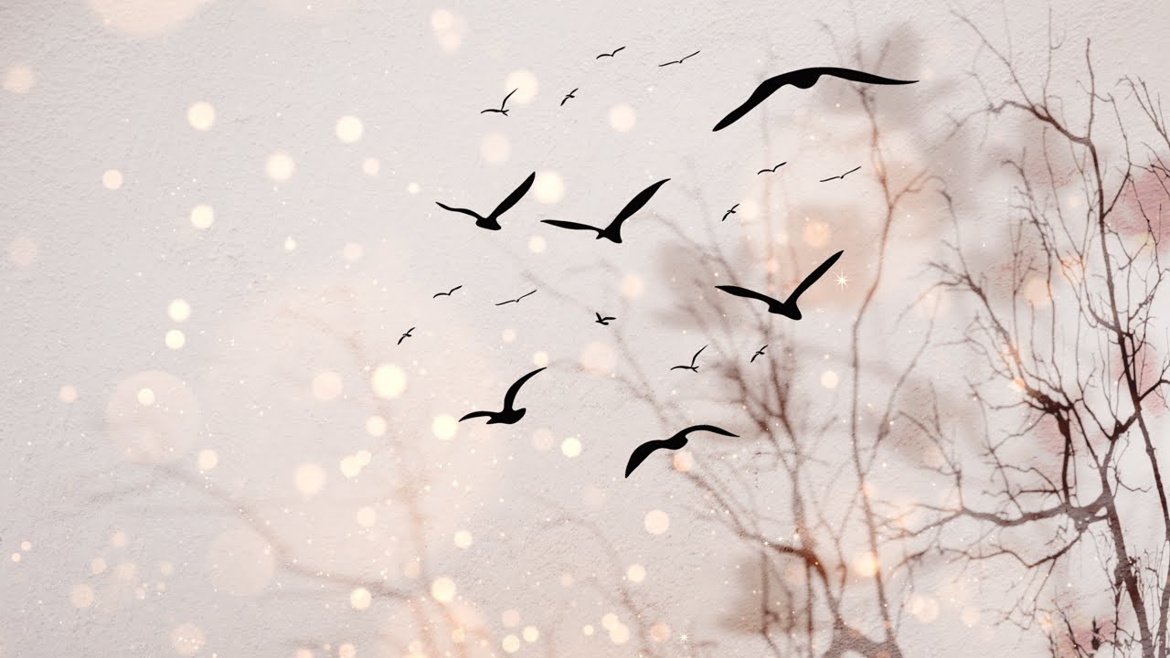 📽️🎵 1 Heure de Fond d'&eacute;cran anim&eacute; / Arri&egrave;re plan d&eacute;tente 🍁🐦 ༺ Branches flottantes & Oiseaux ༻  🍁🐦
