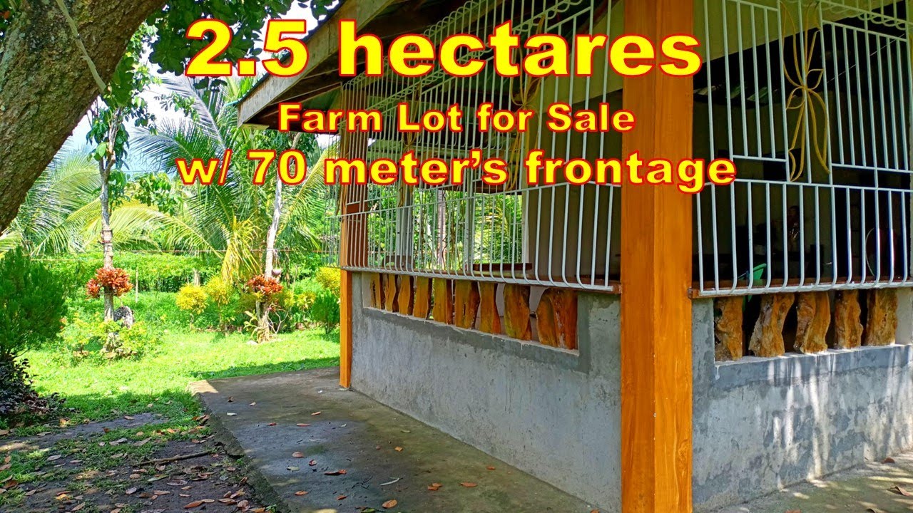 FARM LOT FOR SALE (PROP# 152) 2 HECTARES, SAN PALO CITY, LAGUNA