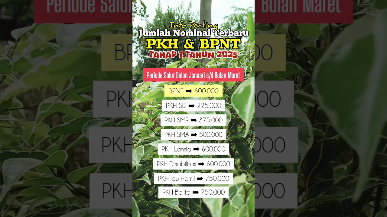 Nominal Terbaru Bansos PKH dan BPNT Tahap 1 2025 #infopkhhariini #bpntcair #bansosawaltahun #pkhcair