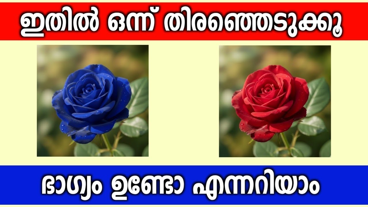 ഒരു പൂവിന്റെ ചിത്രം തിരഞ്ഞെടുക്കൂ... ഭാഗ്യം നിങ്ങളുടെ കൂടെയാണോ അറിയാം...