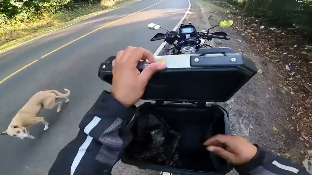 ALIMENTANDO PERROS CALLEJEROS DE LA RUTA DE LAS FLORES AHUACHAPÁN, MIRALO HASTA EL FINAL