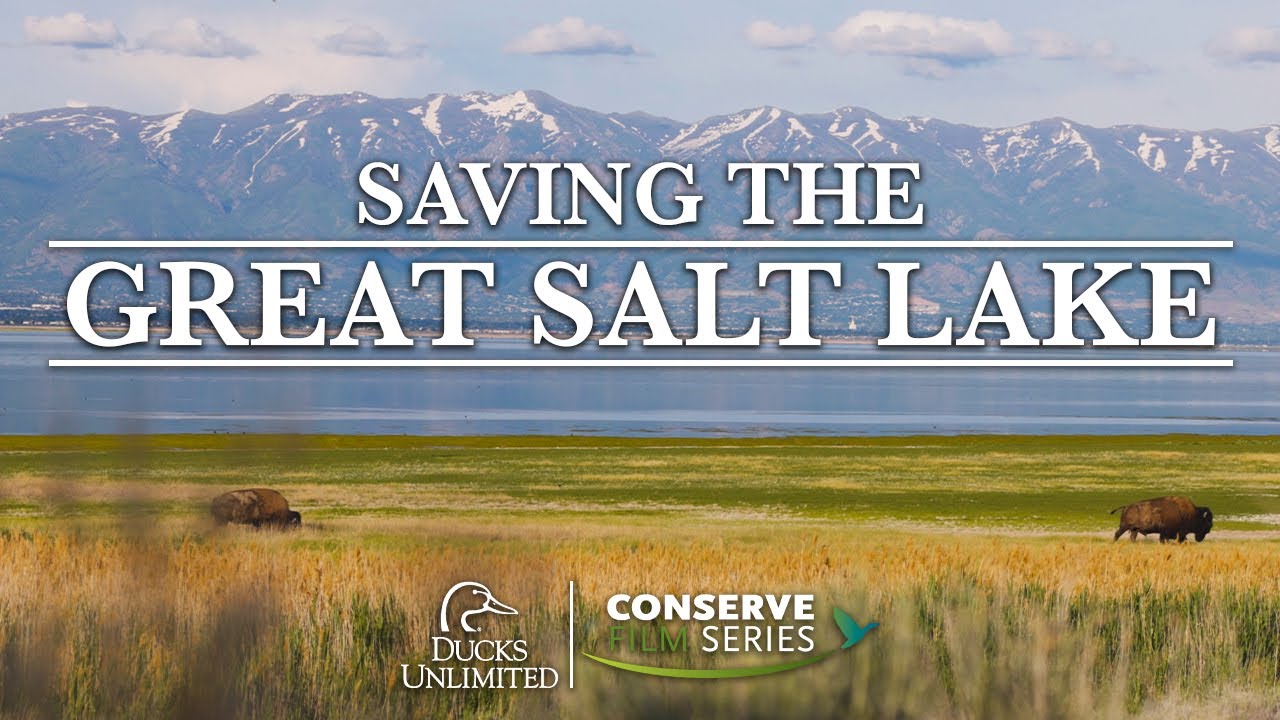 Saving the Great Salt Lake | DU Conserve
