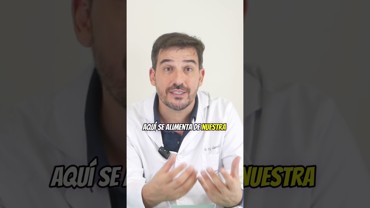 🔴 Como eliminar piojos y liendres 3:4